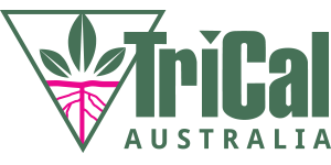 TriCal Australia